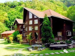 携程被调查，民宿老板意外放烟花庆祝：一场意外的狂欢