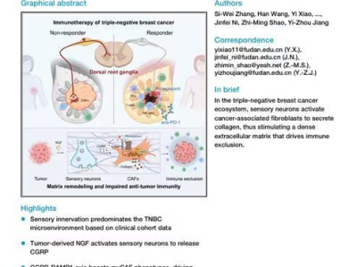 细胞发表：中国科学家揭示偏头痛药物助力克服“最毒乳腺癌”免疫治疗耐药